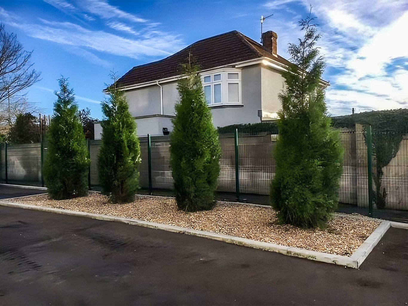 Row of four recently planted trees with house in background and blue sky.