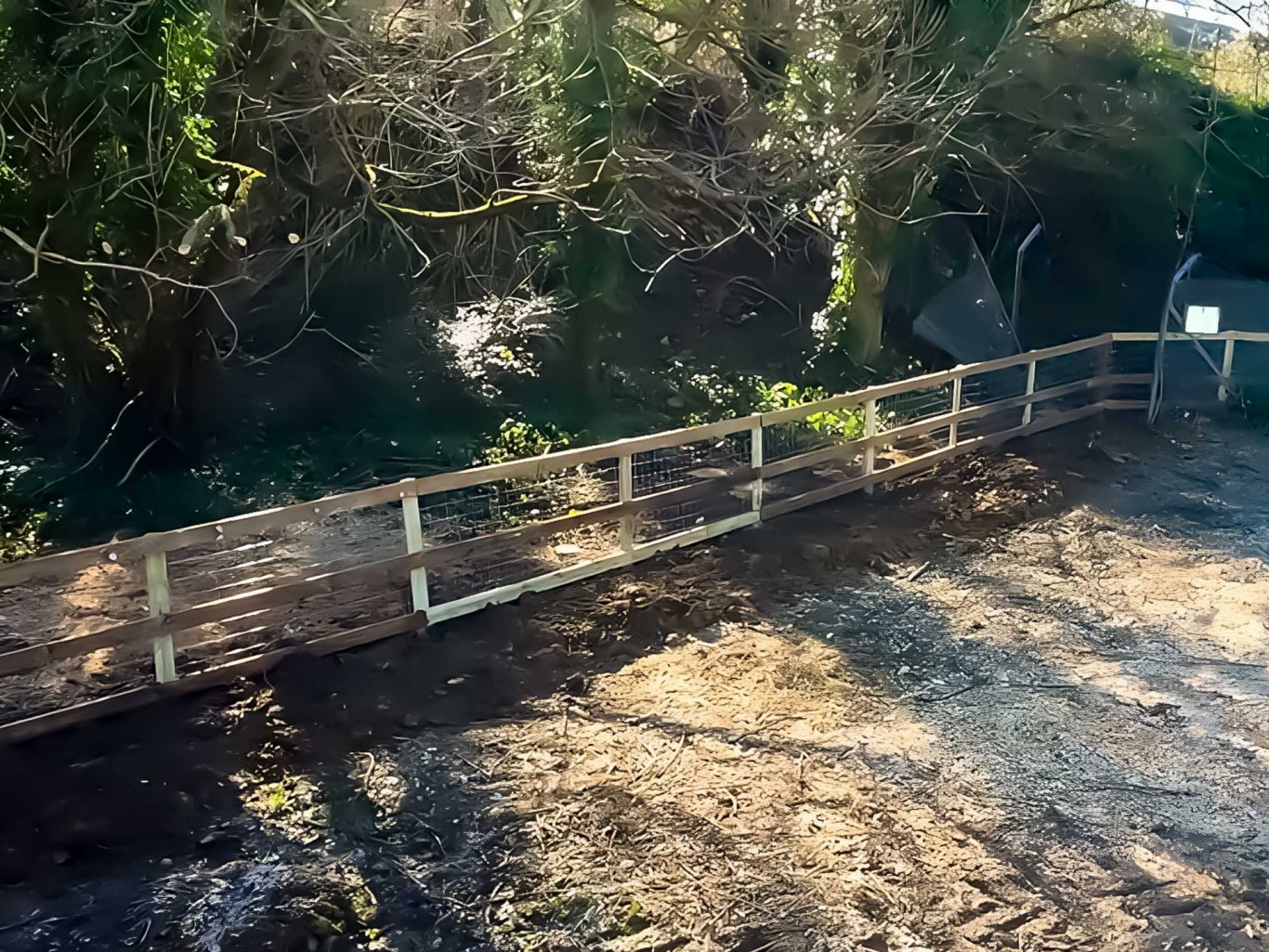 Badger fencing installed on the outskirts of a tree line.