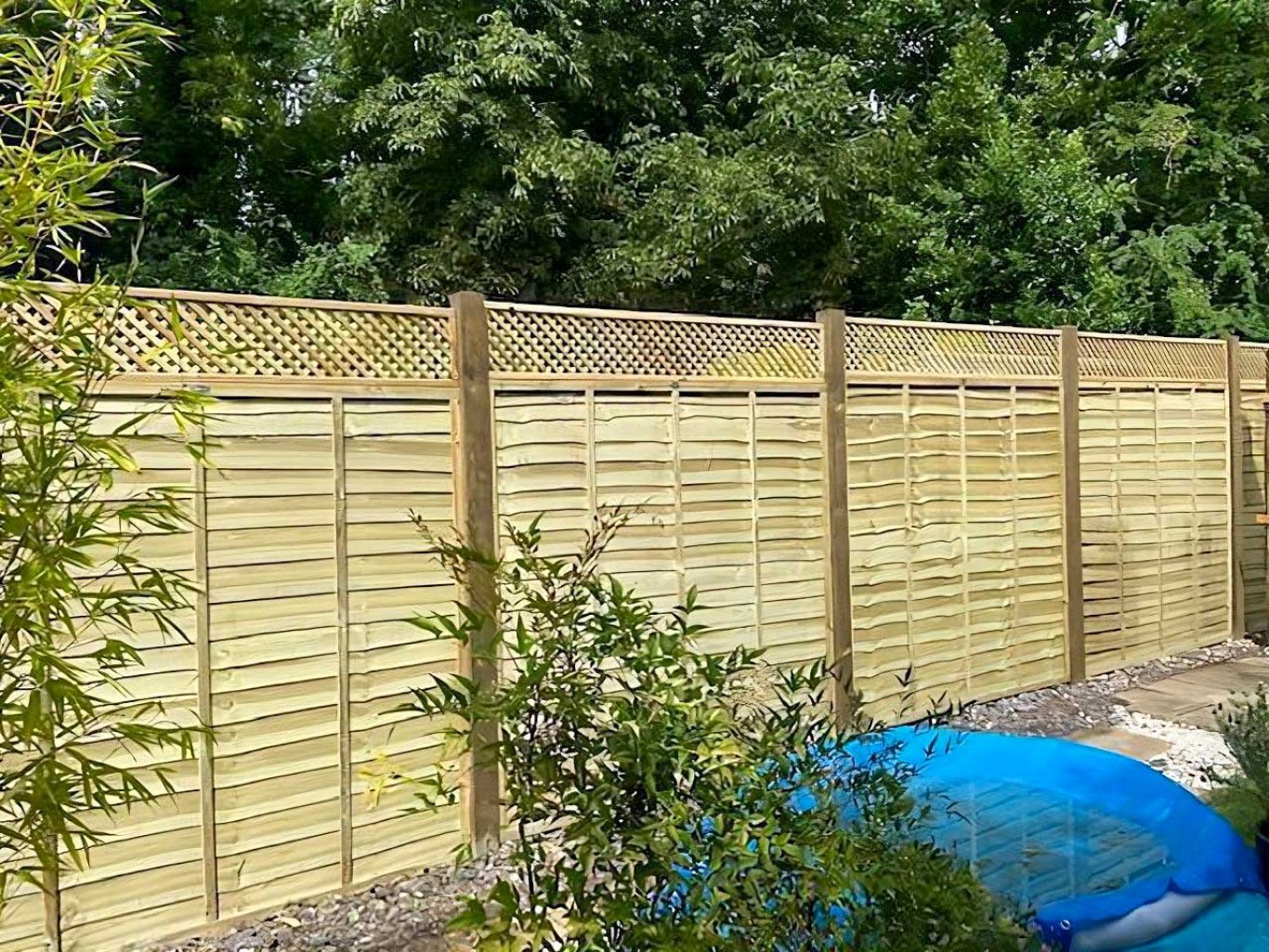 Larch lap panel fencing in garden with trees in the background.