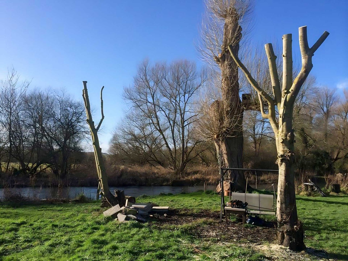 Trees that have recently been pollarding and coppicing.