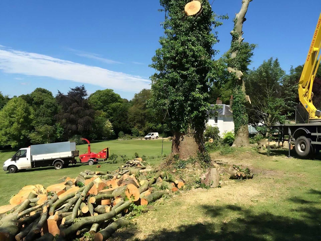 Tree being removed with various logs on the floor and a machine to grind up logs.