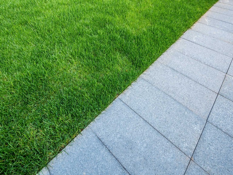 Pathway in garden close up with grass.