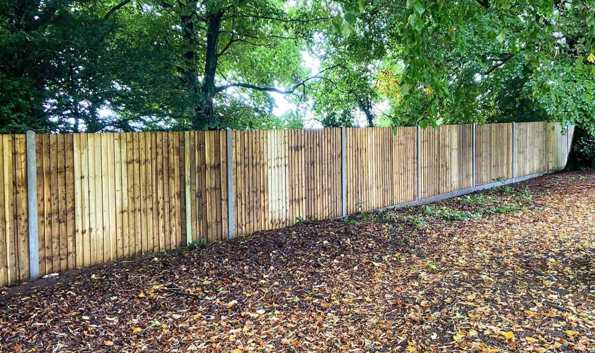 Long row of fencing with concrete post in woodland area.